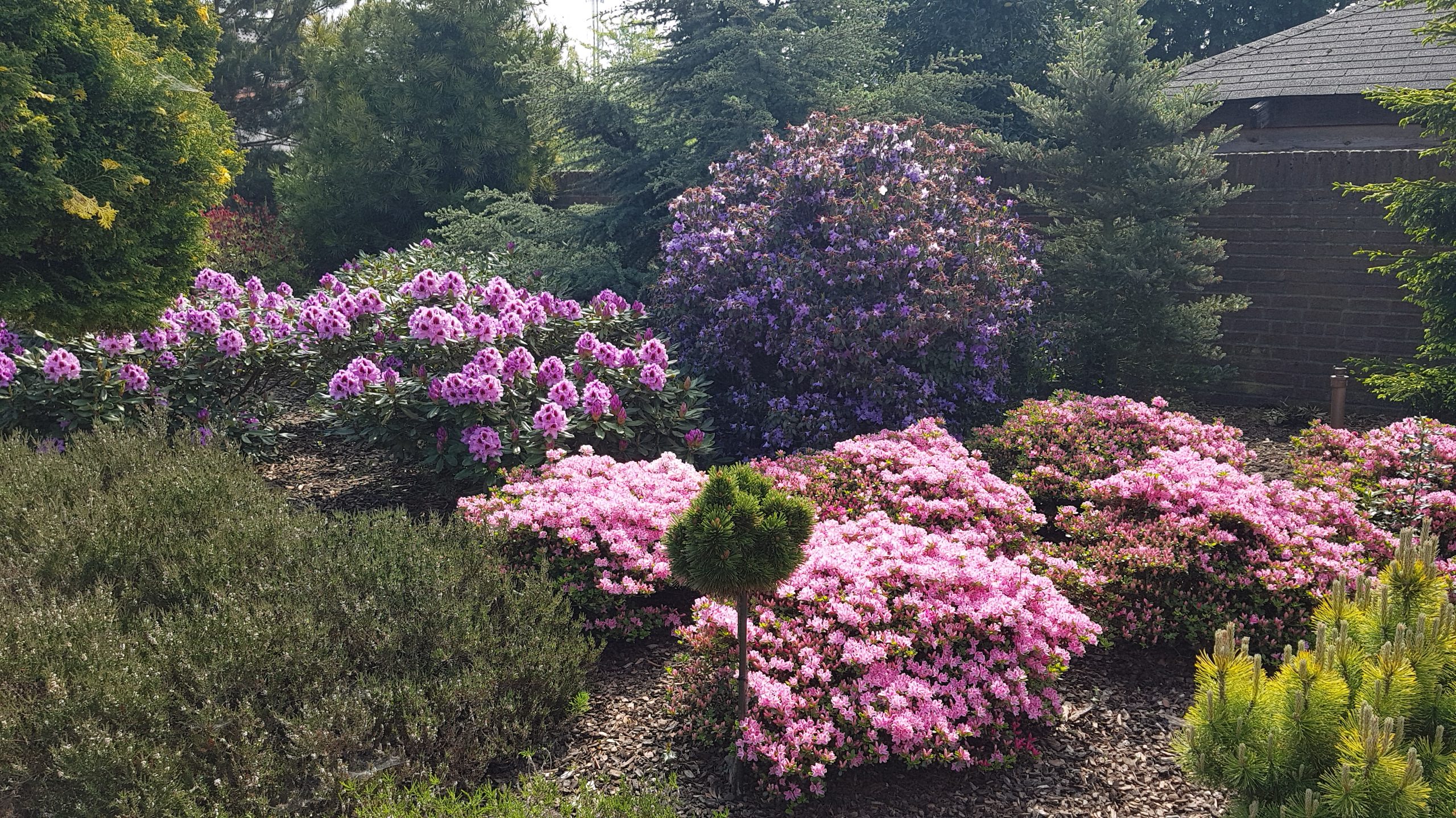 Ako objaviť arboretum naplno
